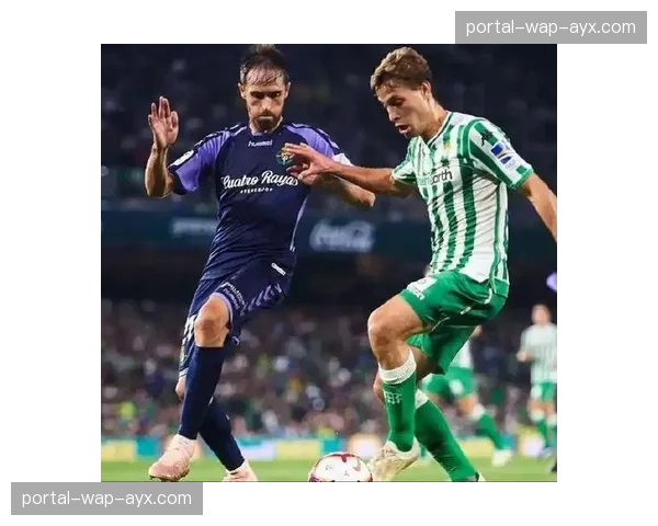 贝蒂斯0-0战平西班牙人，两队各取一分