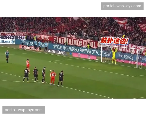 拜仁有意汉堡门将费尔南德斯寻求二号门将补强